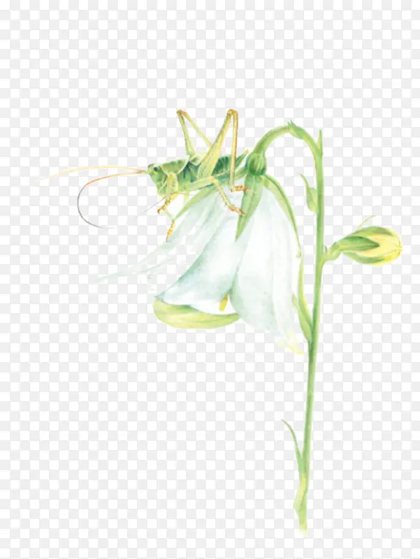 Ψ���ֻ��ʻ�-������