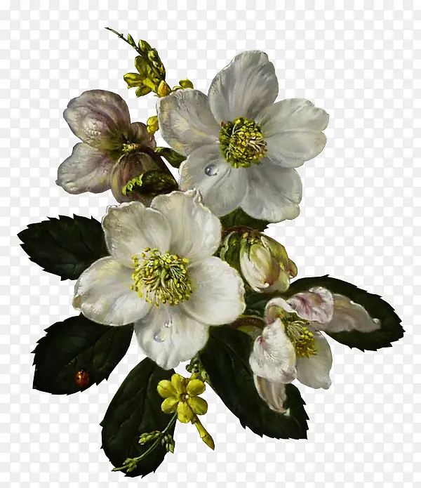 �ֻ�ŵ仨��-������