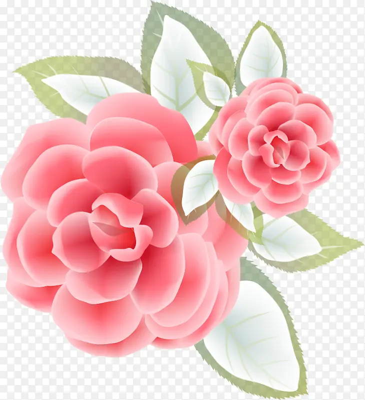 �ֻ�軨-������