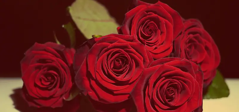 ��ɫõ����Ӱ-������