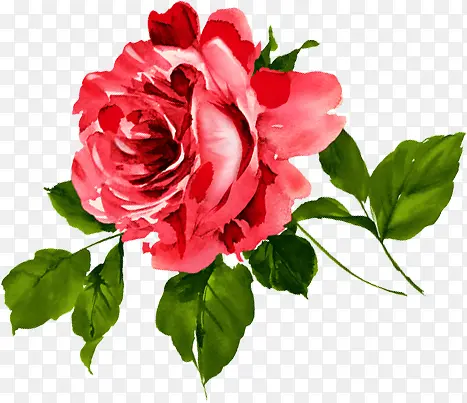 ��ɫˮ���ʻ�����-������