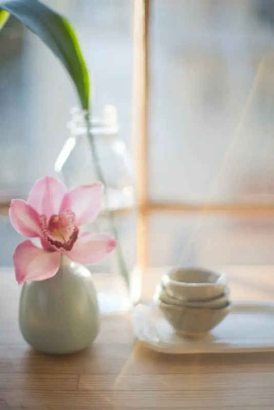 ��ɫ�ʻ��ι���Ӱ-������