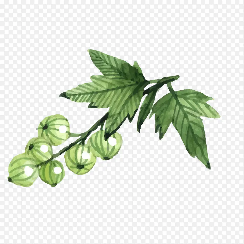 ʸ����ͨˮ��ˮ��png-������