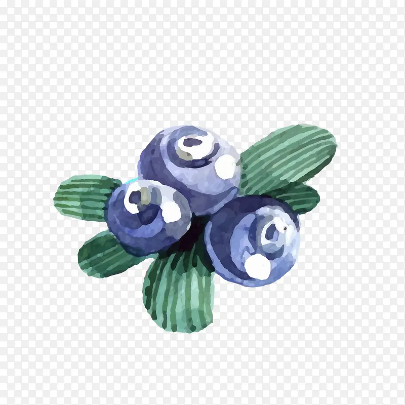 ʸ����ͨˮ����ݮpng-������