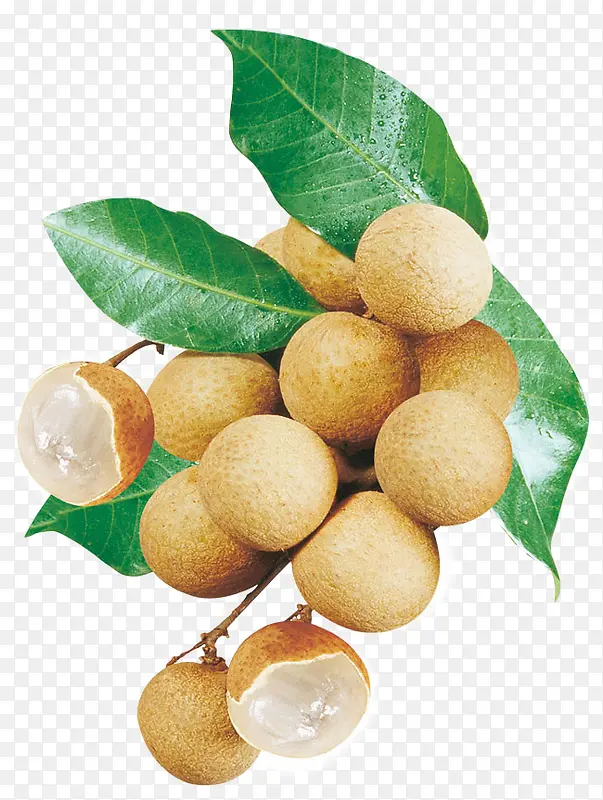 ����ˮ��-������