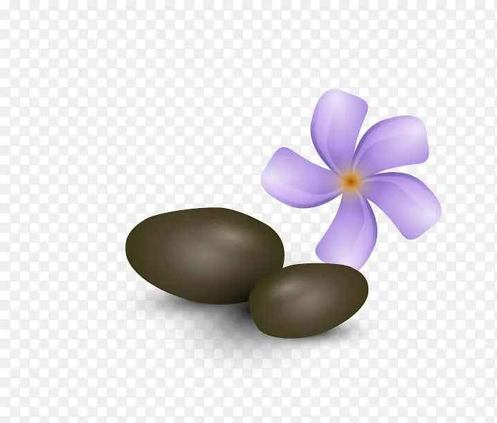 SPA�ز�-������