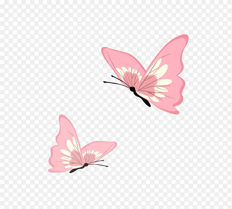 SPA�ز�-������