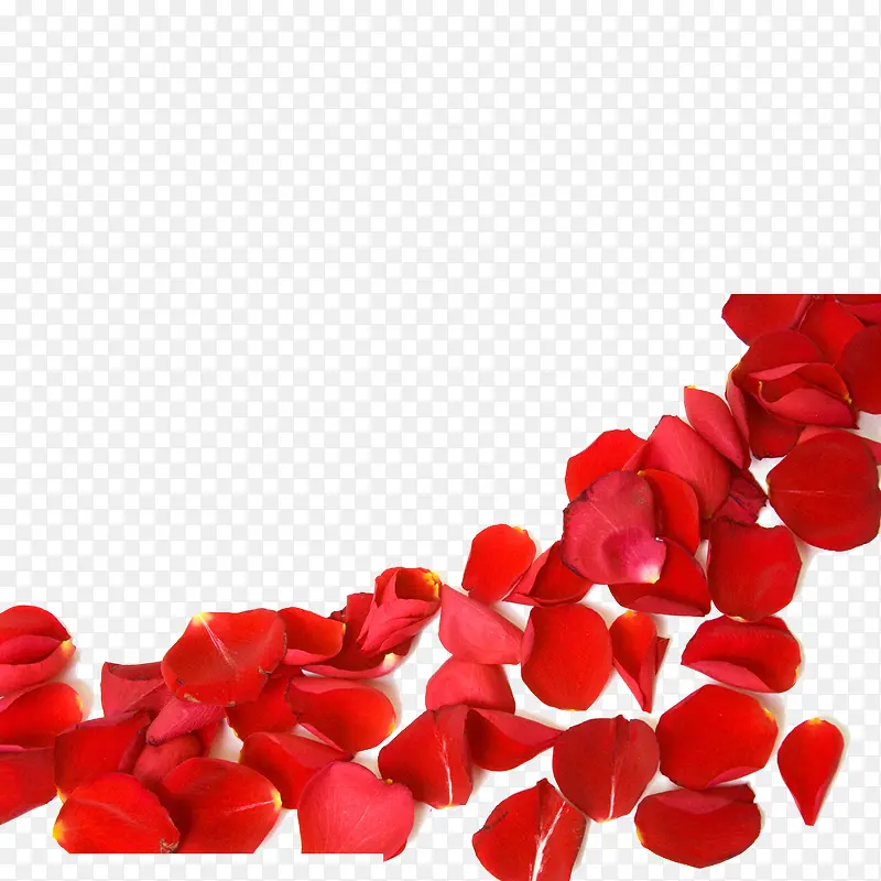 �����ز�-������