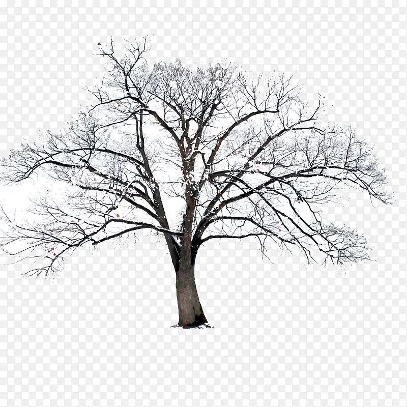 ��-������