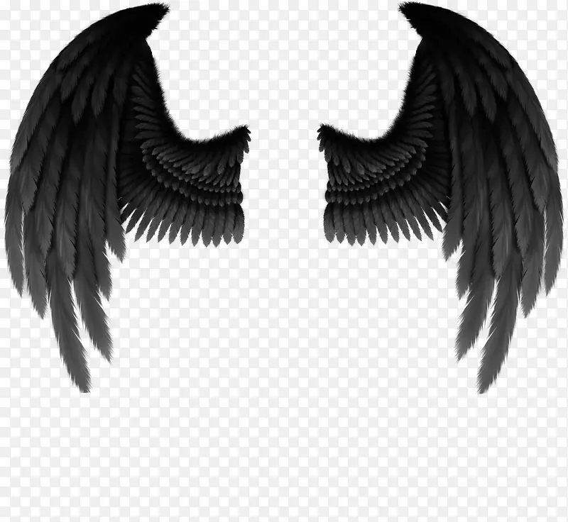 ���ͼ���ز�-������