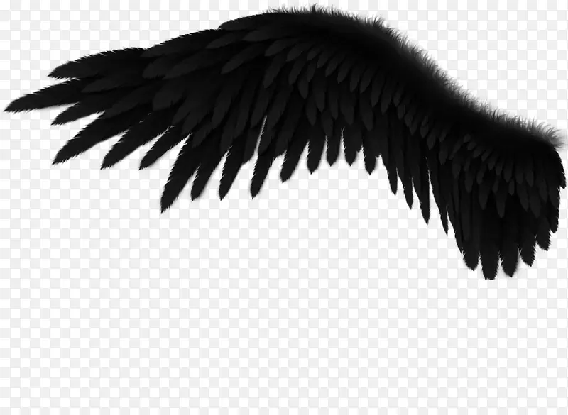 ���ͼ���ز�-������