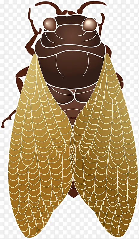 �ſ����Ĳ�ʸ���ز�-������