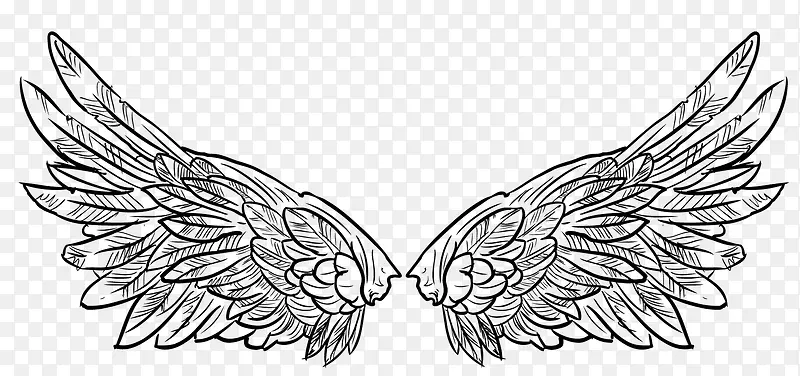 ��ɫ����ز�-������