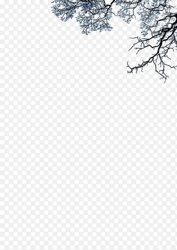 ����֦-������