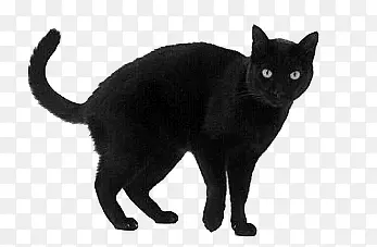 ��ɫè���ز�-������