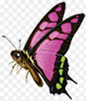 ��ɫ�������زĶ���-������