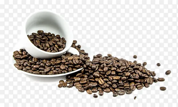 ���ȶ�-������