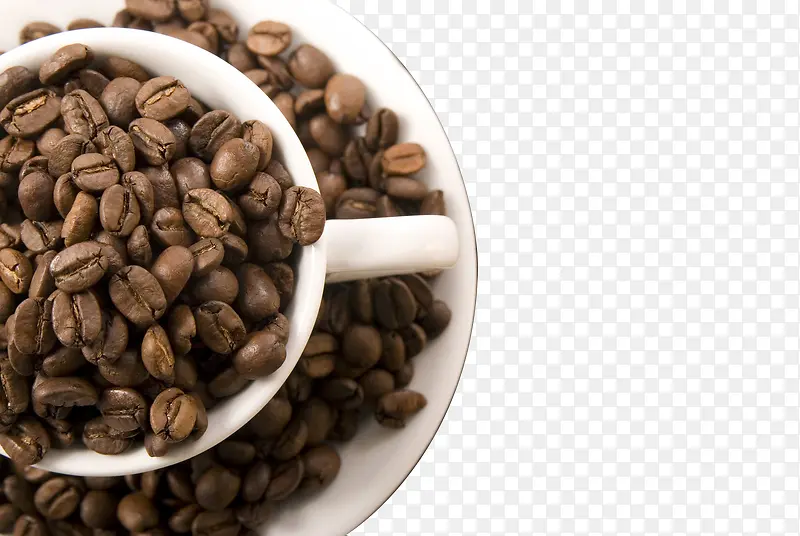 �豭-������