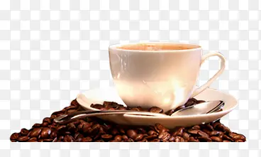 ���ȱ����ȶ�-������