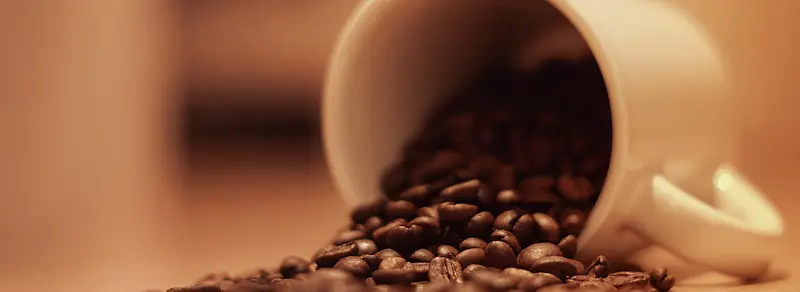 ���ȱ�-������