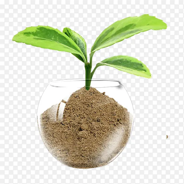 С�� ��ѿ-������