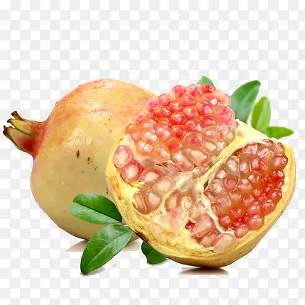 ʯ��-������