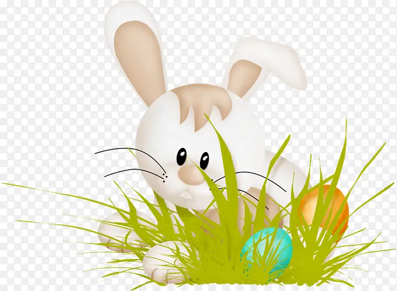 ��ͨ�Բݵ�С����-������