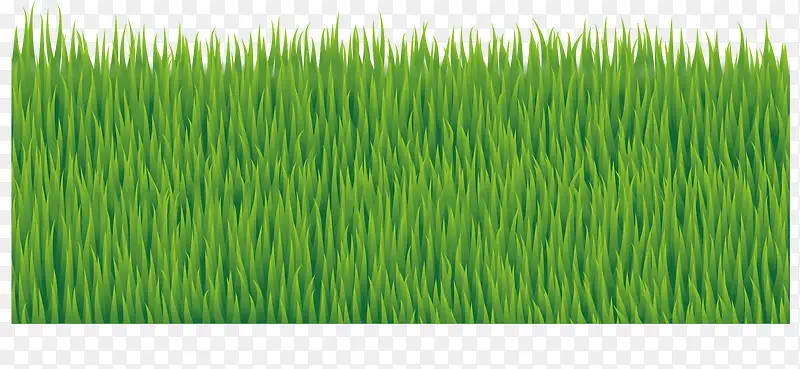 ʸ��С��-������