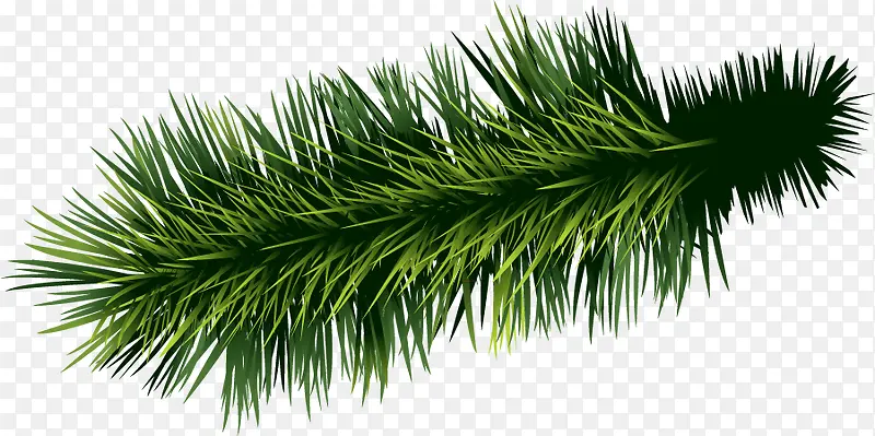 ��ͨ��ɫС��-������