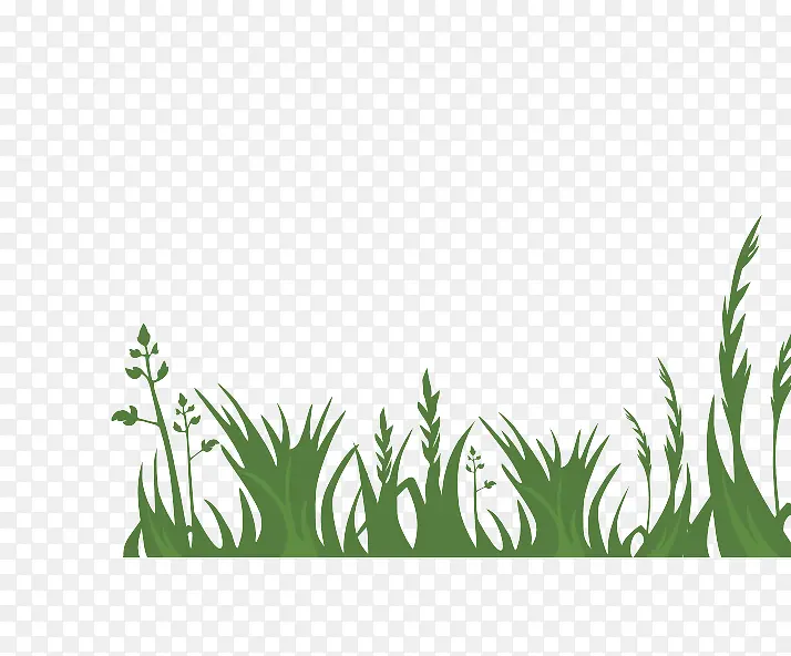 ��ͨ��ƺ-������