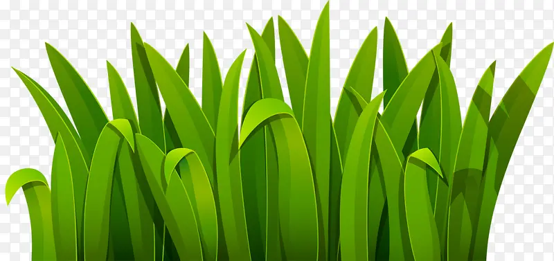 ��ɫС��-������