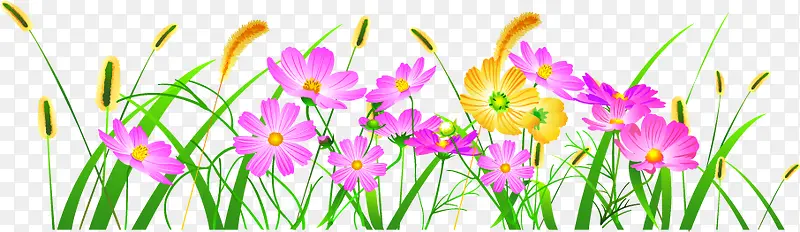 ��ͨ��ɫ����С��-������