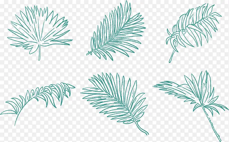 ��������Ҷ��-������