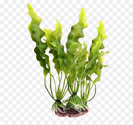 ��-������