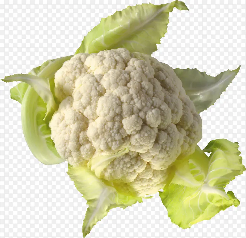 ��ɫֲ���߲˸��廨��-������