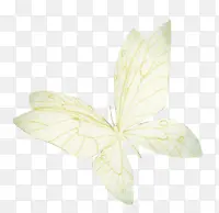 ��ɫ����װ��-������