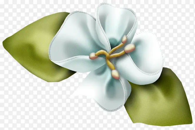 ��ɫ������װ��-������