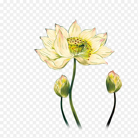 ����-������