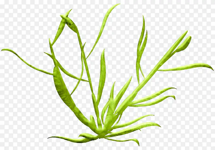 �̲�-������