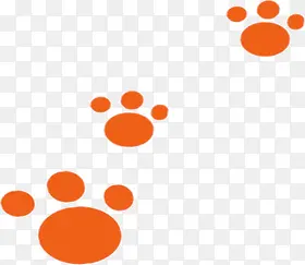 �ɰ���ɫ��ӡ-������