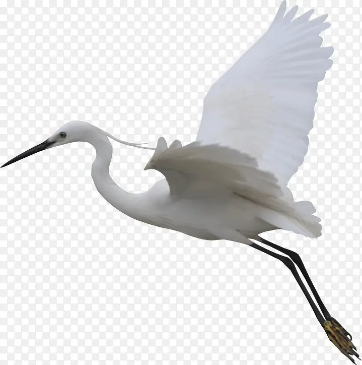 ����İ�������ز�-������