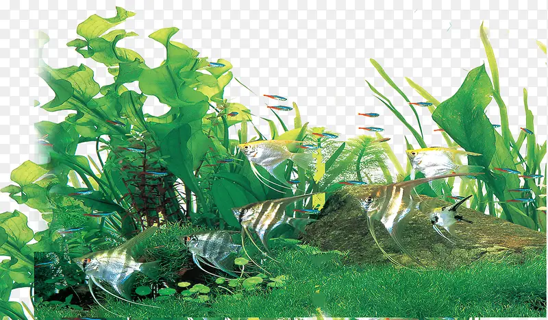 �ֻ�ݵ�-������