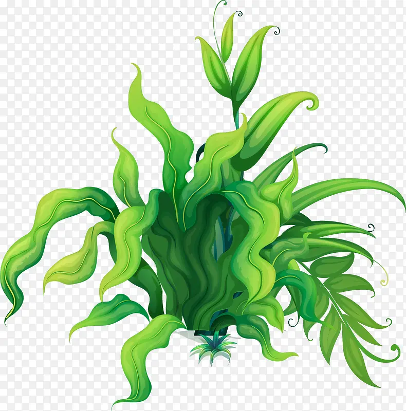 ʸ���ֻ溣��-������