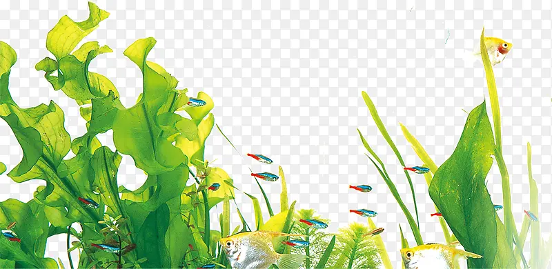 3D��ɫ����-������