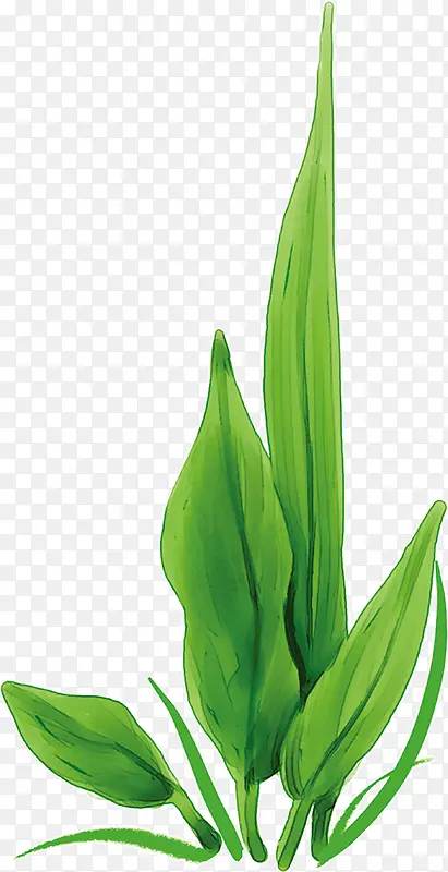 �ʻ���ɫ����-������