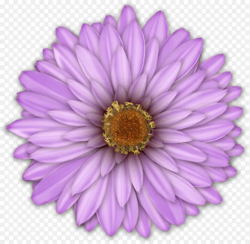 �ֻ滨��-������