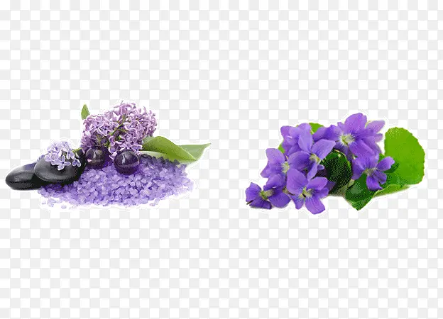 �����Ļ�-������