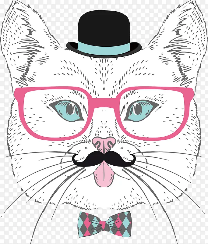 �ֻ�ʱ�п�ͨСè-������