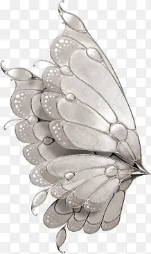 ����png�ز�-������