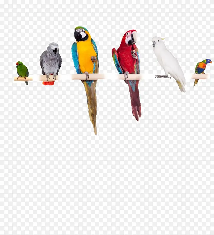 �ɰ�������-������